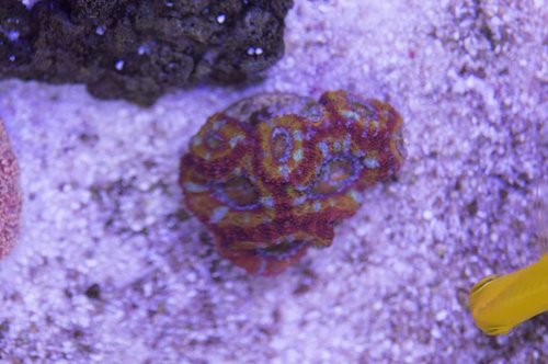 DSC_0084a.JPG