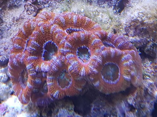 20171203_182254.jpg