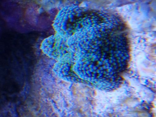 20171228_195340.jpg