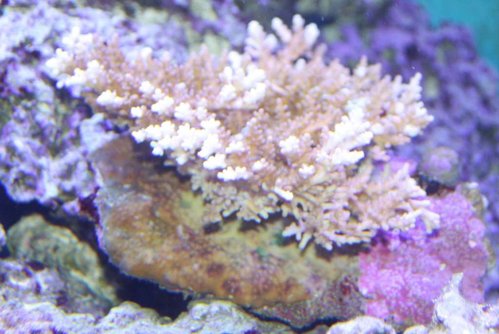 IMG_4423.JPG