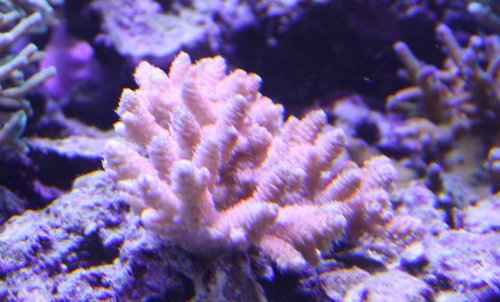 IMG_4432.JPG
