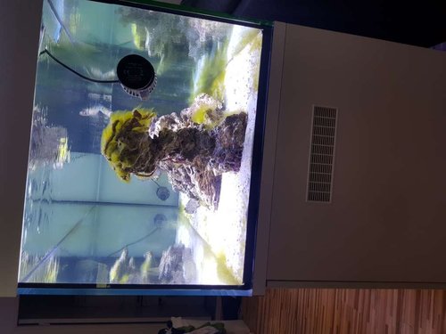 20180114_121300.jpg