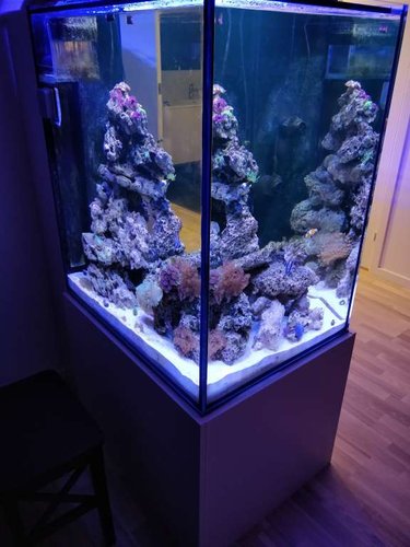 Full view