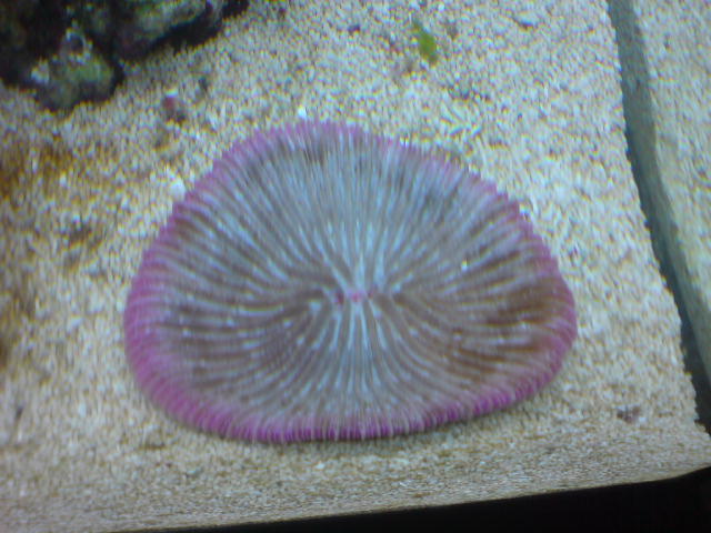 DSC00226.JPG