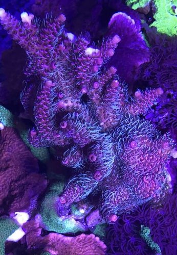 210277B7-E055-498F-974B-EADF521E0FF7.jpeg