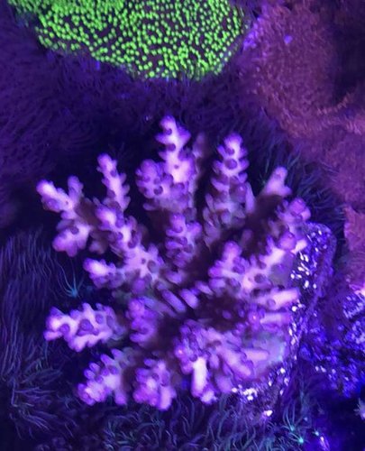 E70DDABB-66B2-4A22-B25F-2520E1CB1A11.jpeg