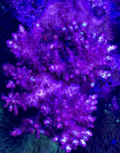 905DEDBE-CD08-4D70-A0C2-2485C0F54F24.jpeg