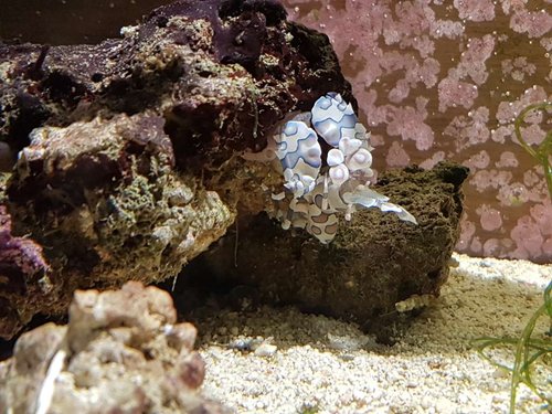20180208_181055(0).jpg