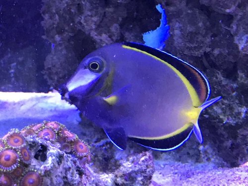 E859DFB5-BB85-452F-A9D2-994819EADC77.jpeg
