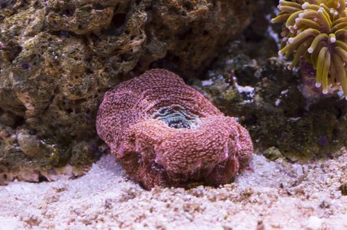 DSC_0040a.JPG