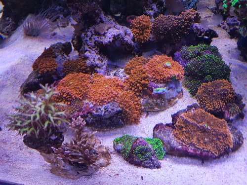 20171214_194350.jpg