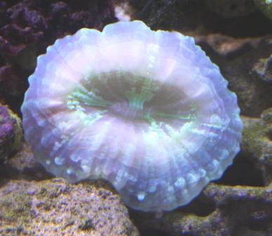IMG_1207.jpg