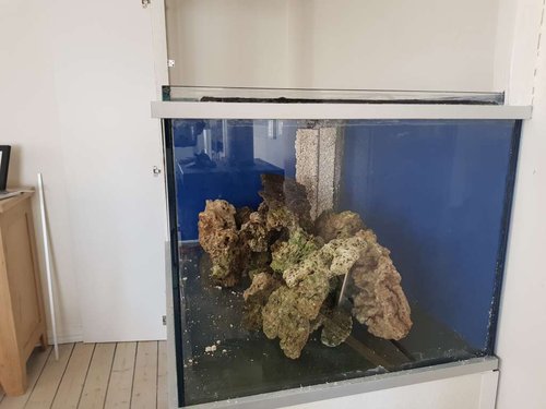 20180425_133555.jpg