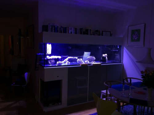8D6391FE-3C33-4AAB-862E-2CA1CA60C278.jpeg