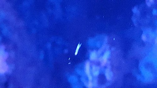 20180507_225033.jpg