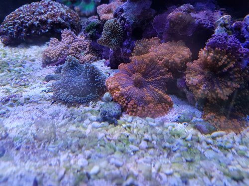 20180502_194234.jpg