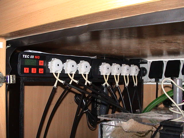 u6.JPG