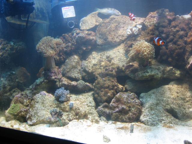 IMG_0153 (Small).JPG