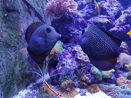 20180719_203135.jpg