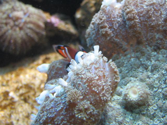 IMG_0191 (Small).JPG