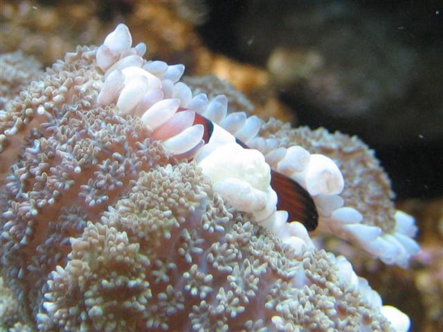 IMG_0185 (Small).JPG