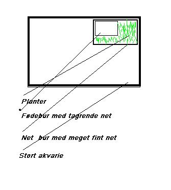 Fødebur - Akvarie.JPG