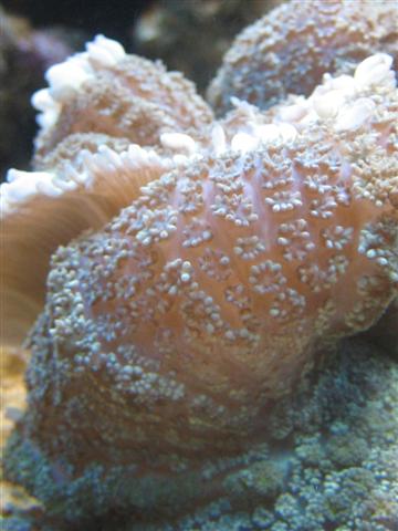 IMG_0182 (Small).JPG