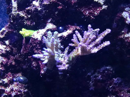 290918 3.jpg