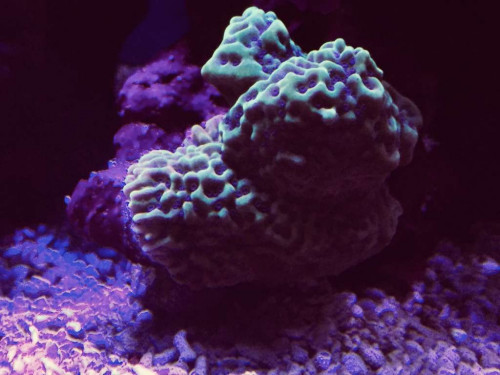 5E046B18-5916-41DF-9679-5E8A5CB664BD.jpeg