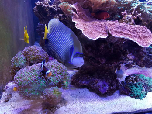 20181026_172707.jpg