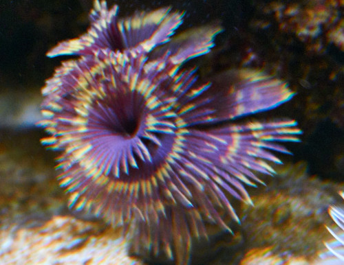 DSC01622.jpg