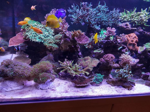 20181231_161614.jpg