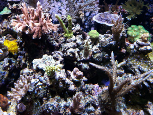 20181028_150856.jpg