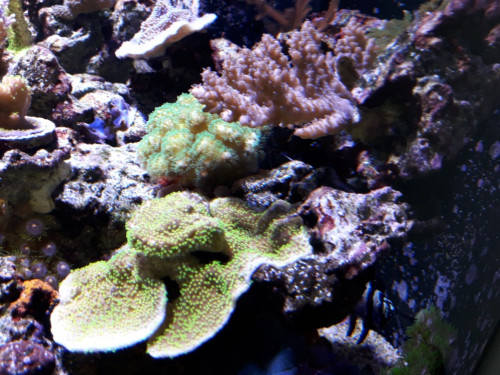 20181028_151001.jpg