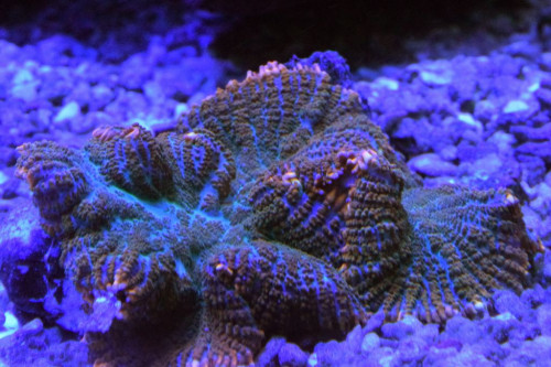 Test 6.1.19.JPG