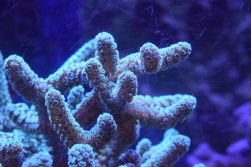 Test. 6.4.1.19.JPG