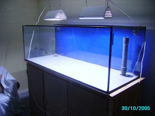 PICT0138.JPG