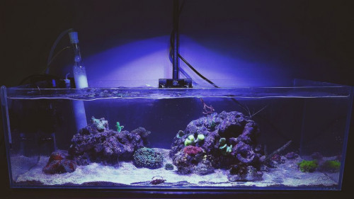 Display<br />29/1-2019