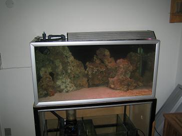 Akvariet