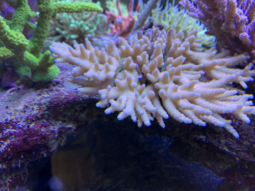 CF7E394D-D647-44E2-9AA8-F734DD2477E5.jpeg