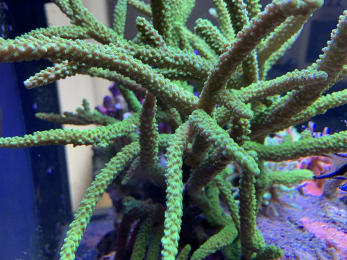 B089D3DA-29F9-4484-85F5-471B6C60E7B1.jpeg