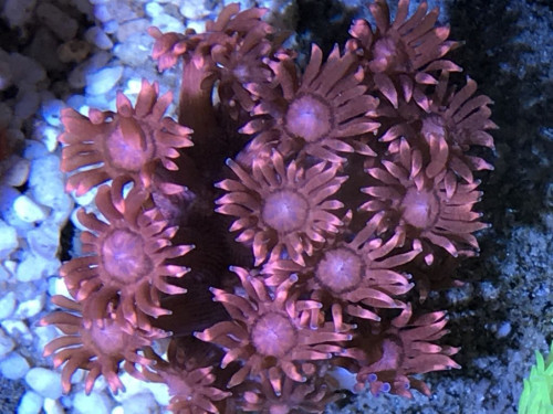 3BEE3B29-A787-400B-864A-B21CE81CDEE1.jpeg