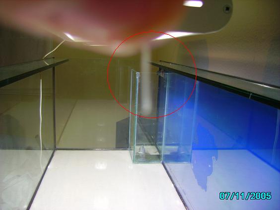 PICT0146.JPG