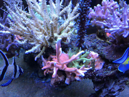 D33FFBED-2101-4D67-AFE0-34F6C966A5A9.jpeg