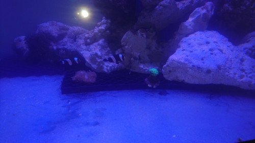 DSC_2069.JPG