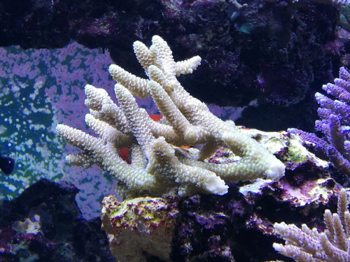 IMG_20190327_173654.jpg
