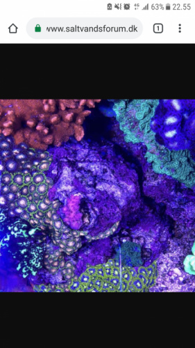 Screenshot_20190405-225534.png