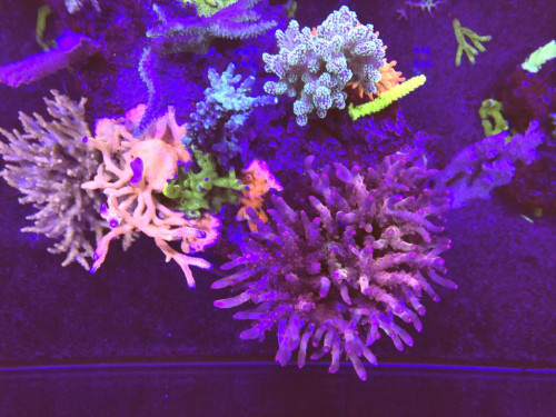 F5D32D6D-1F12-4857-ACC0-B66779A2E73F.jpeg