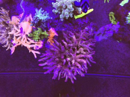 0CAFB183-BCE9-4630-8D70-A11B6C1C189F.jpeg