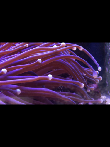 51062BC1-EEFF-455B-A912-5BA02C29F6EB.png